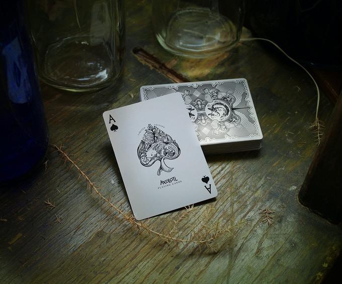 Axolotl Playing Cards by Enigma Cards Playing Cards by Enigma Cards