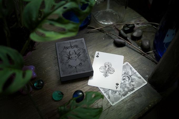 Axolotl Playing Cards by Enigma Cards Playing Cards by Enigma Cards