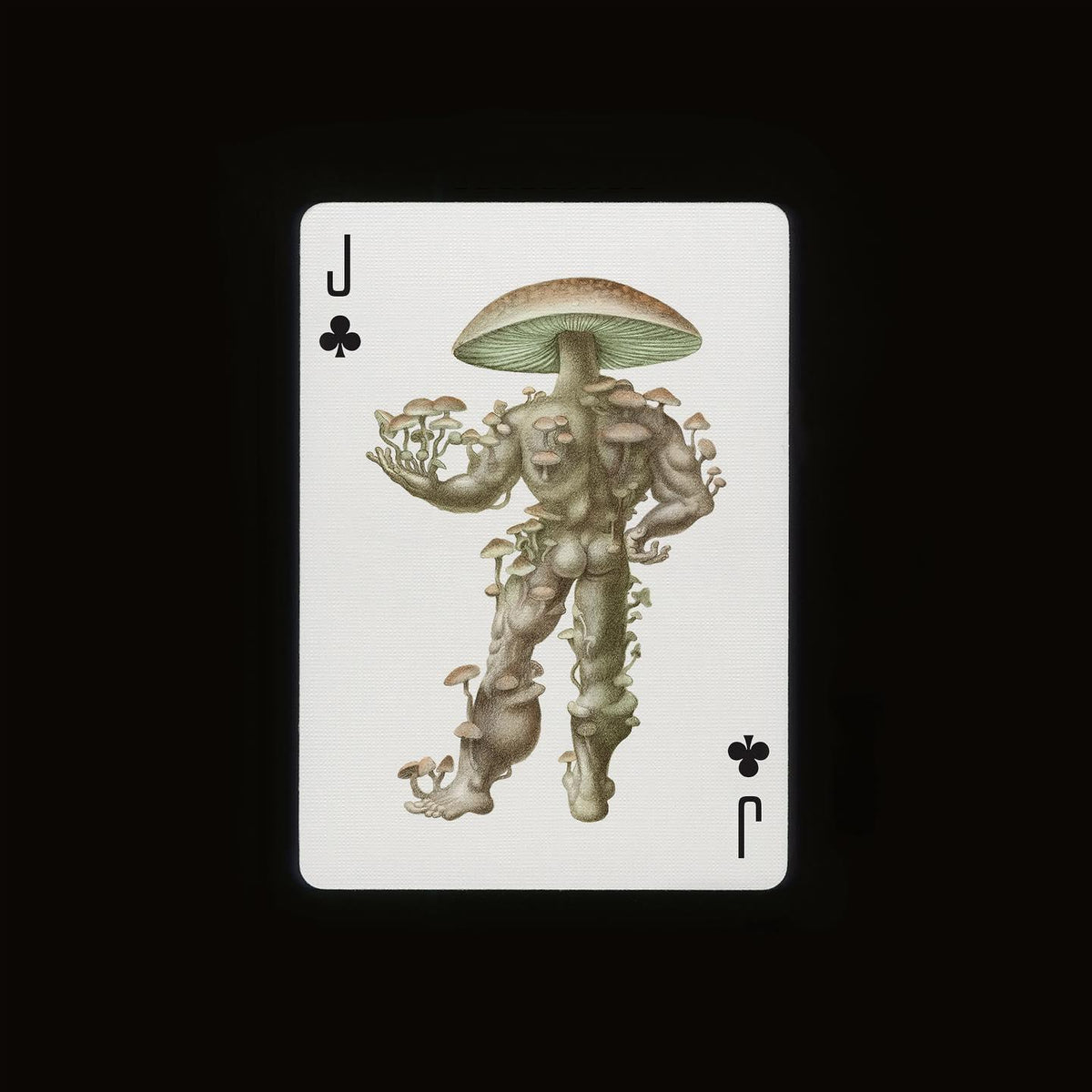 Cabinetarium Playing Cards Playing Cards by Art of Play