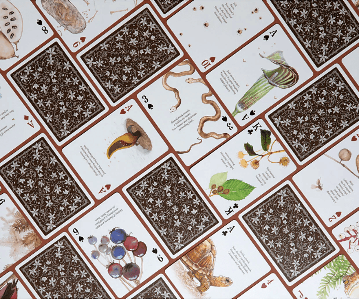Eastern Forest Playing Cards Playing Cards by Art of Play