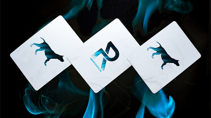 Sirius B V3 Playing Cards Playing Cards by RarePlayingCards.com