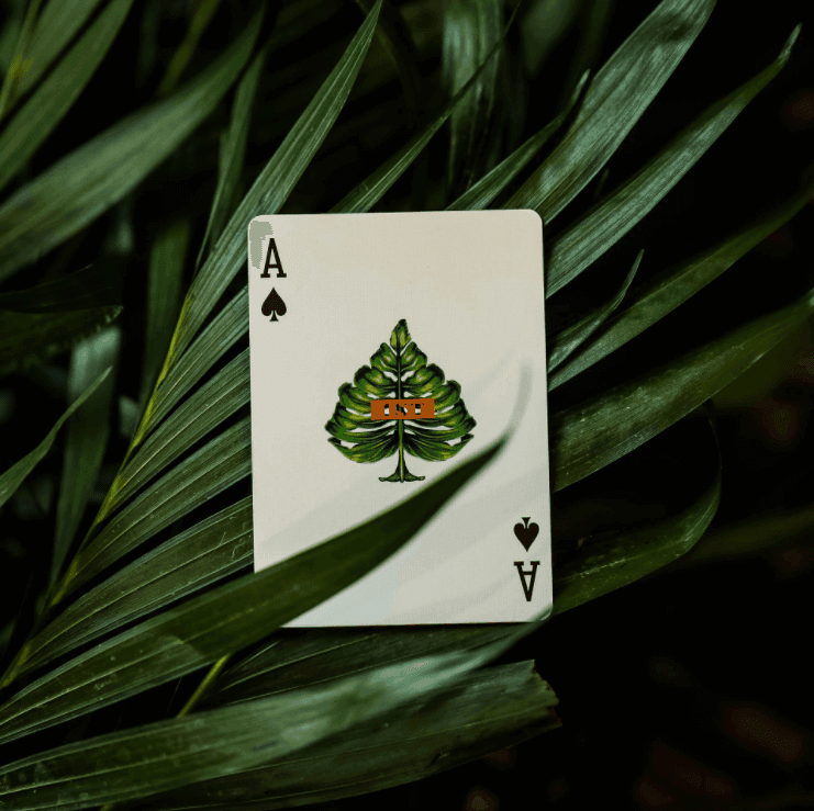 1ST playing cards V3 by Chris Ramsay Playing Cards by 1ST playing cards by Chris Ramsay