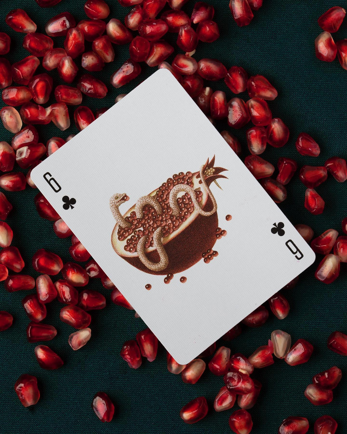 Cabinetarium Playing Cards Playing Cards by Art of Play