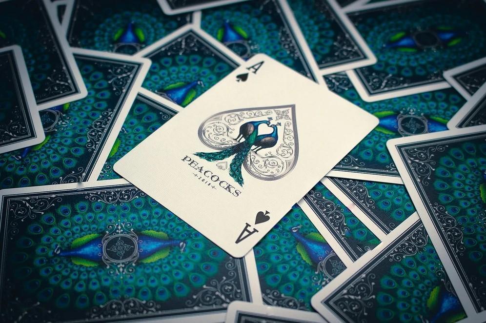Peacocks Playing Cards Playing Cards by RarePlayingCards.com