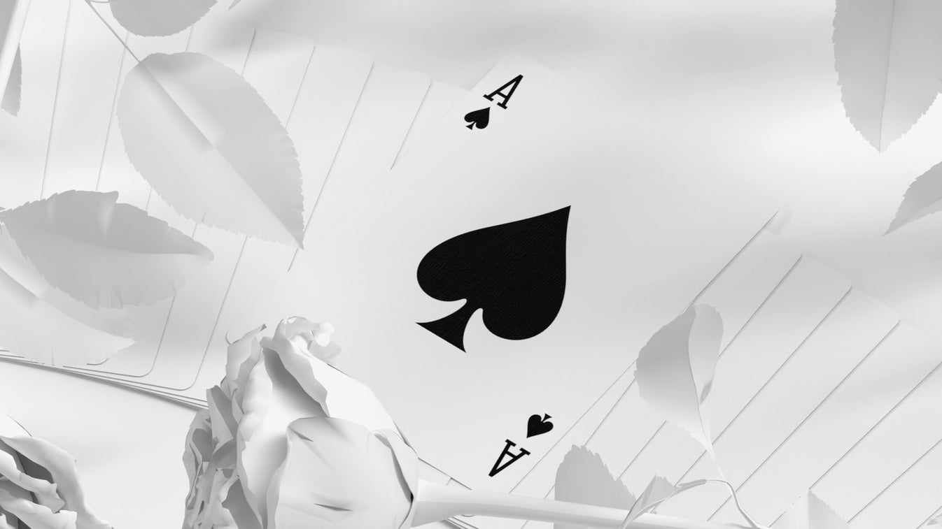 Daniel Schneider White Edition Playing Cards Playing Cards by Daniel Schneider