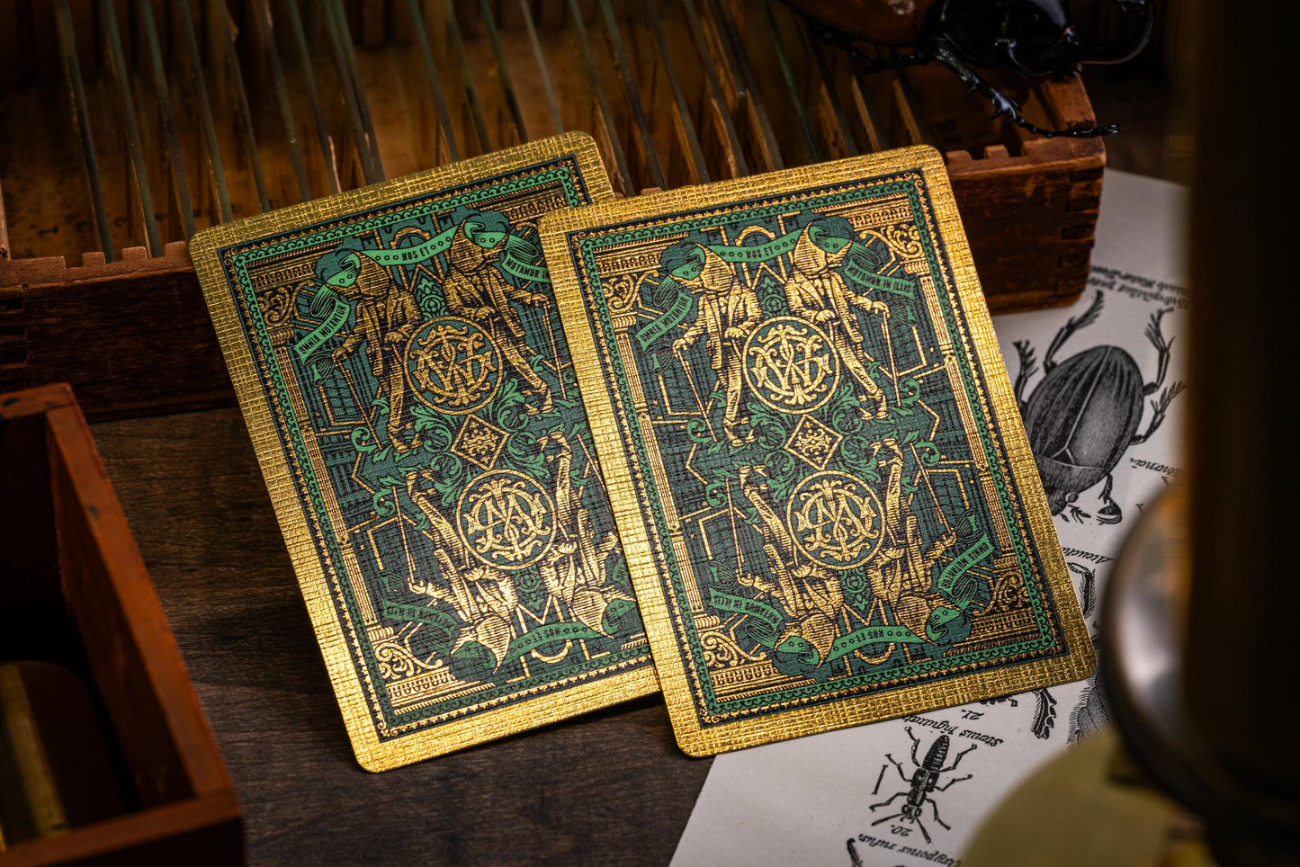 Beetle Backs Dynastinae Edition Playing Cards