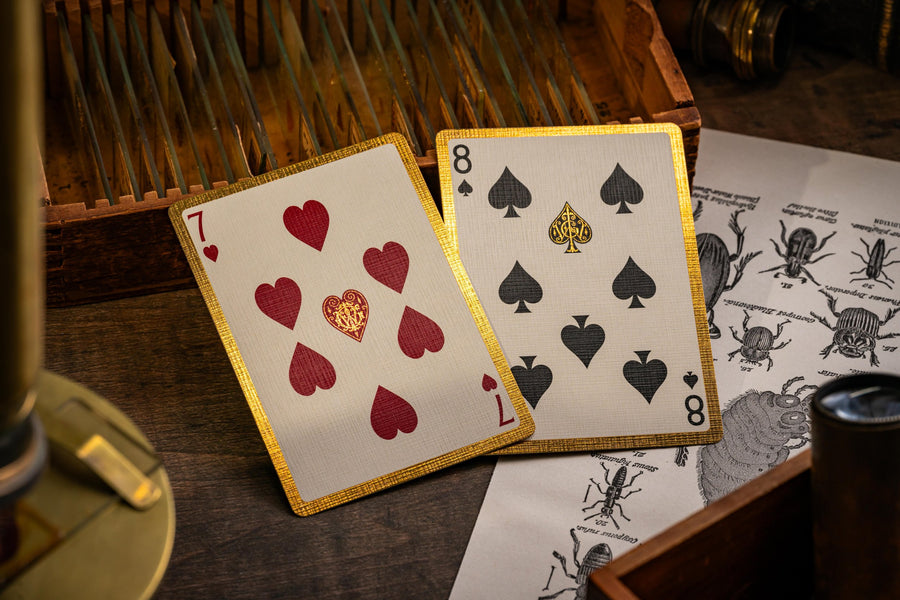 Beetle Backs Dynastinae Edition Playing Cards