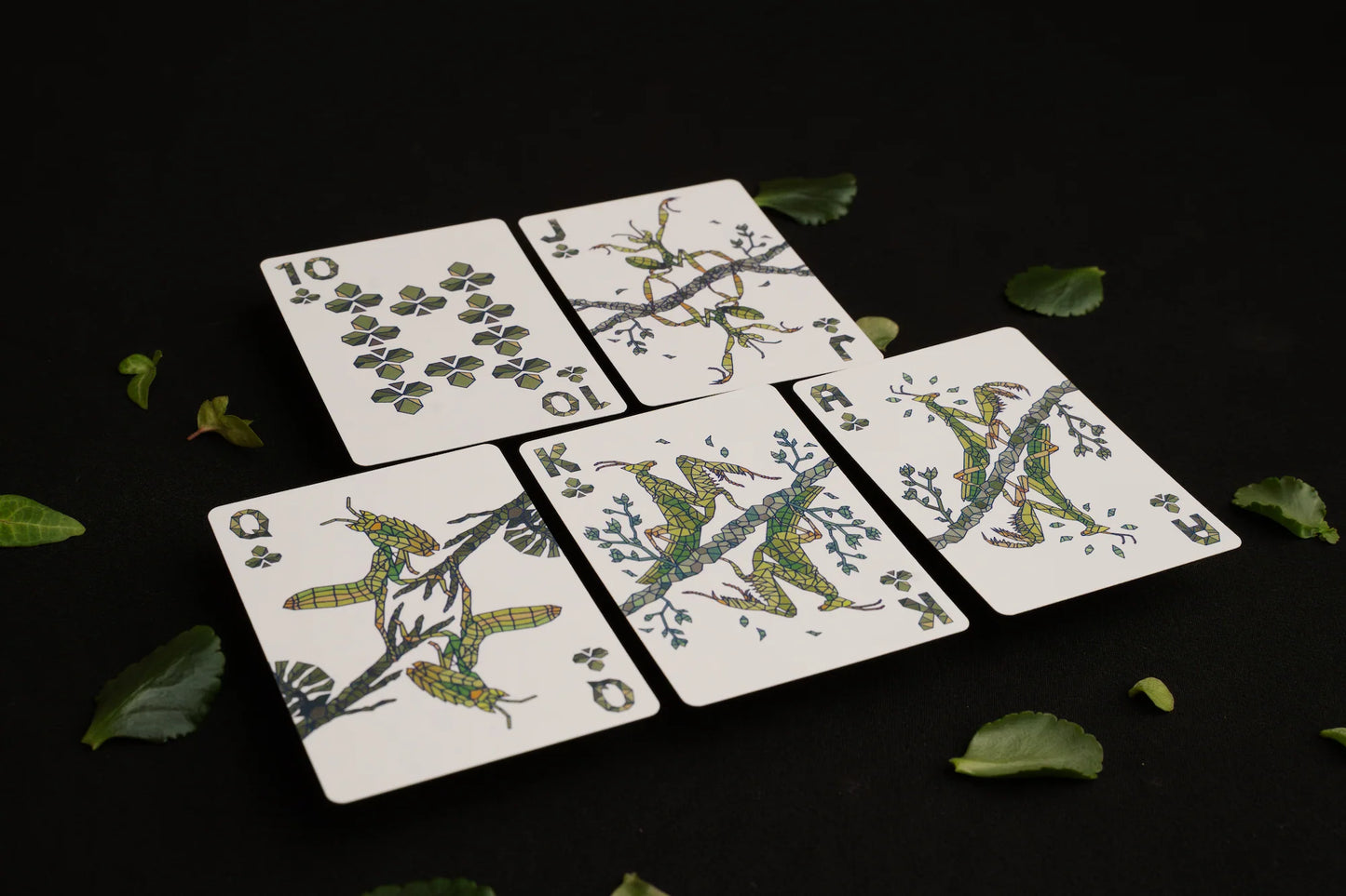 Five illustrated playing cards arranged on a black surface with scattered green leaves. The cards feature whimsical insect and tree designs in green, yellow, and blue on a white background.