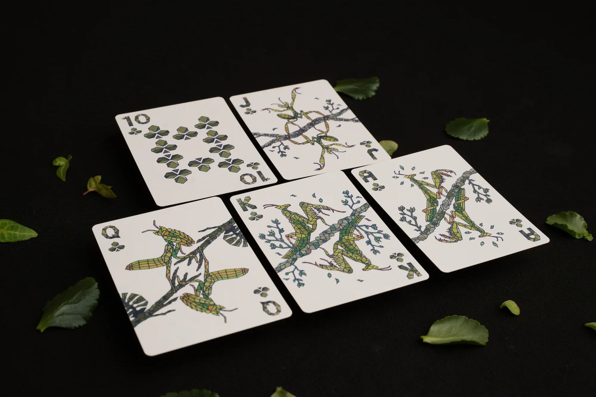 Five illustrated playing cards arranged on a black surface with scattered green leaves. The cards feature whimsical insect and tree designs in green, yellow, and blue on a white background.