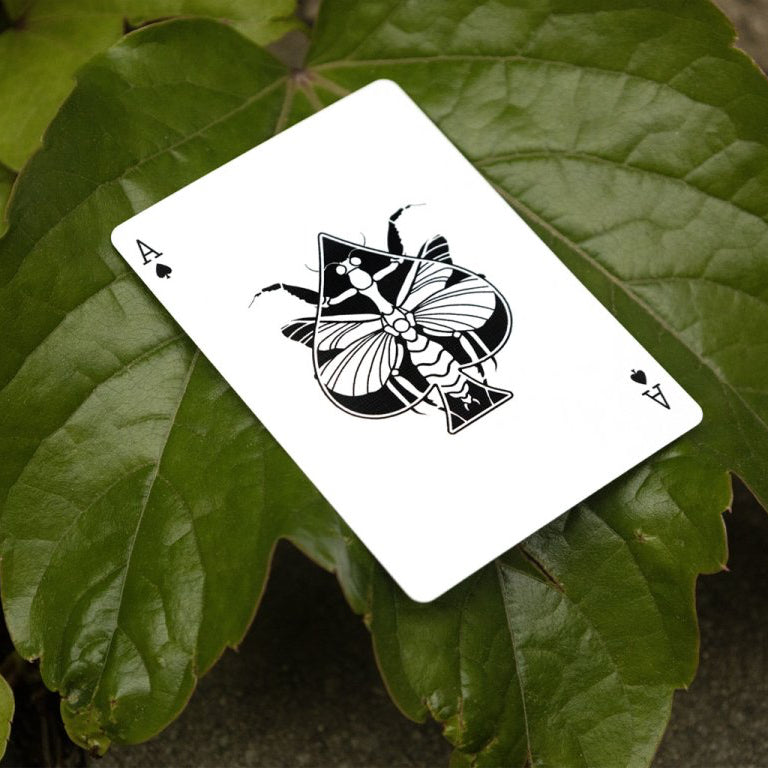 Mantis Playing Cards 