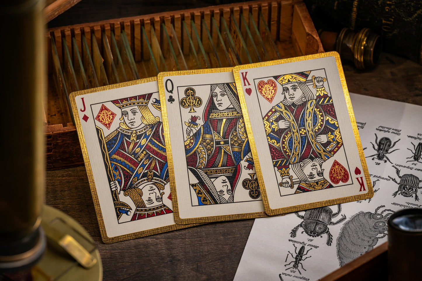 Beetle Backs Dynastinae Edition Playing Cards