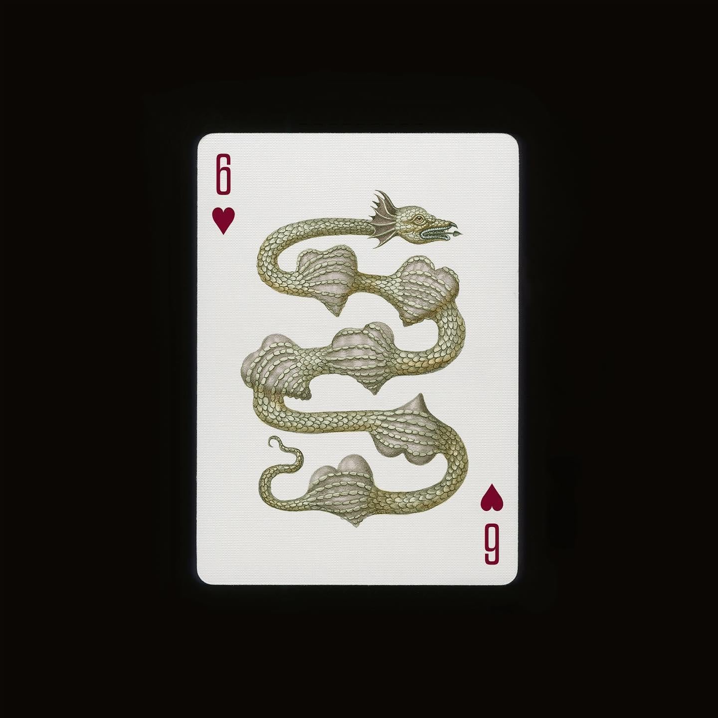 Cabinetarium Playing Cards Playing Cards by Art of Play