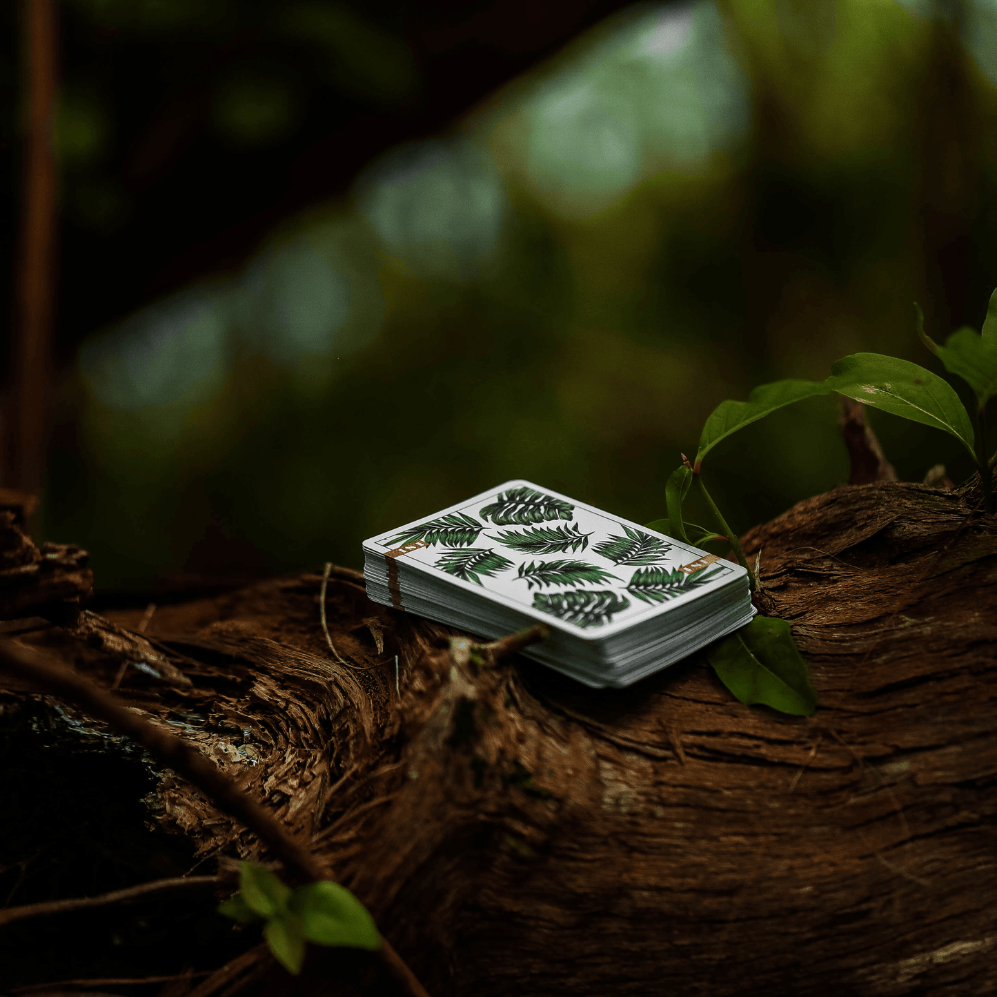 1ST playing cards V3 by Chris Ramsay Playing Cards by 1ST playing cards by Chris Ramsay