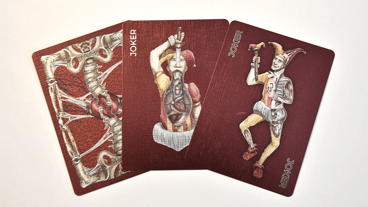 Alterna Playing Cards Playing Cards by RarePlayingCards.com