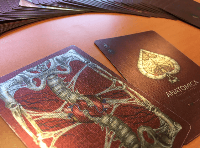 Alterna Playing Cards Playing Cards by RarePlayingCards.com