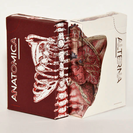 Alterna Playing Cards Playing Cards by RarePlayingCards.com