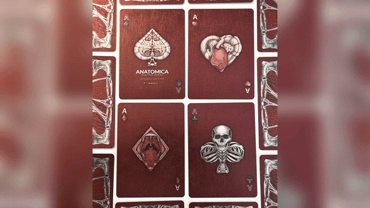 Alterna Playing Cards Playing Cards by RarePlayingCards.com