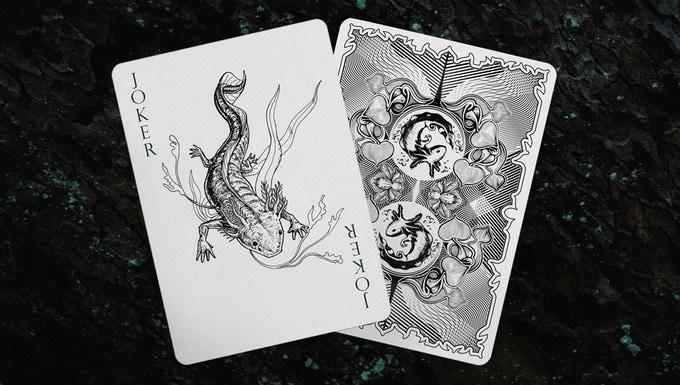 Axolotl Playing Cards by Enigma Cards Playing Cards by Enigma Cards