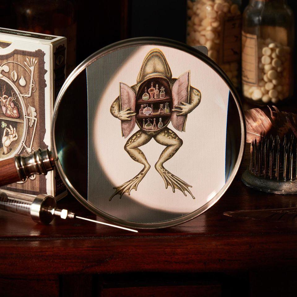 Cabinetarium Playing Cards Playing Cards by Art of Play