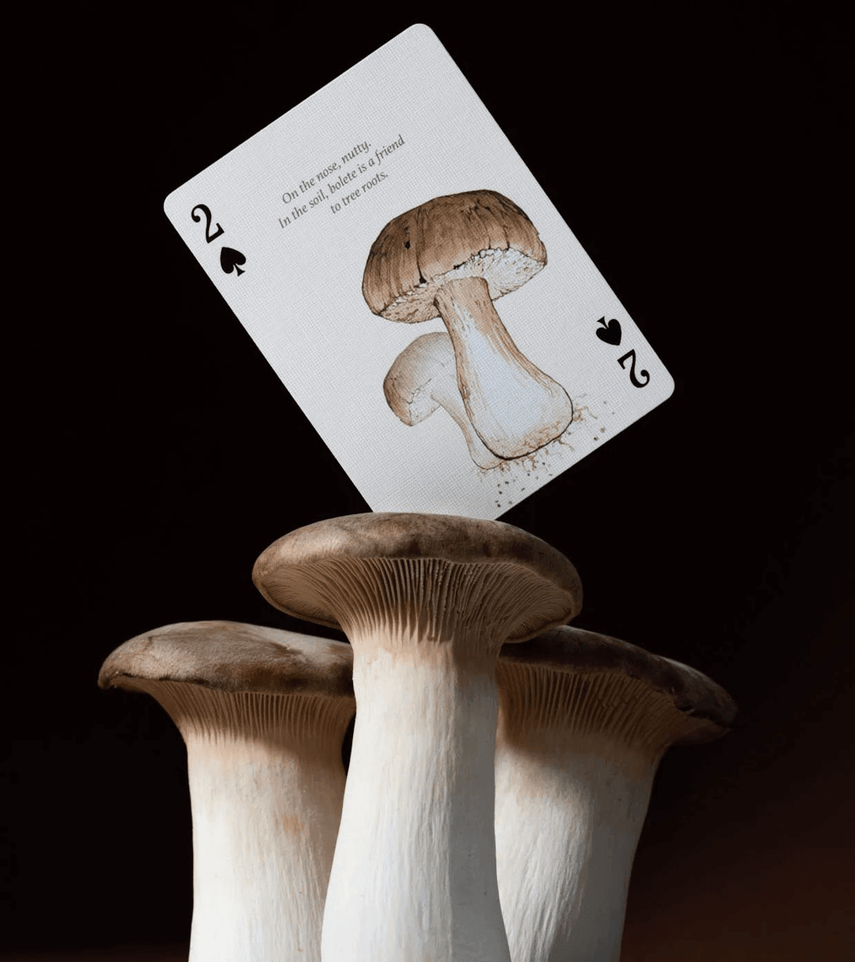Eastern Forest Playing Cards Playing Cards by Art of Play
