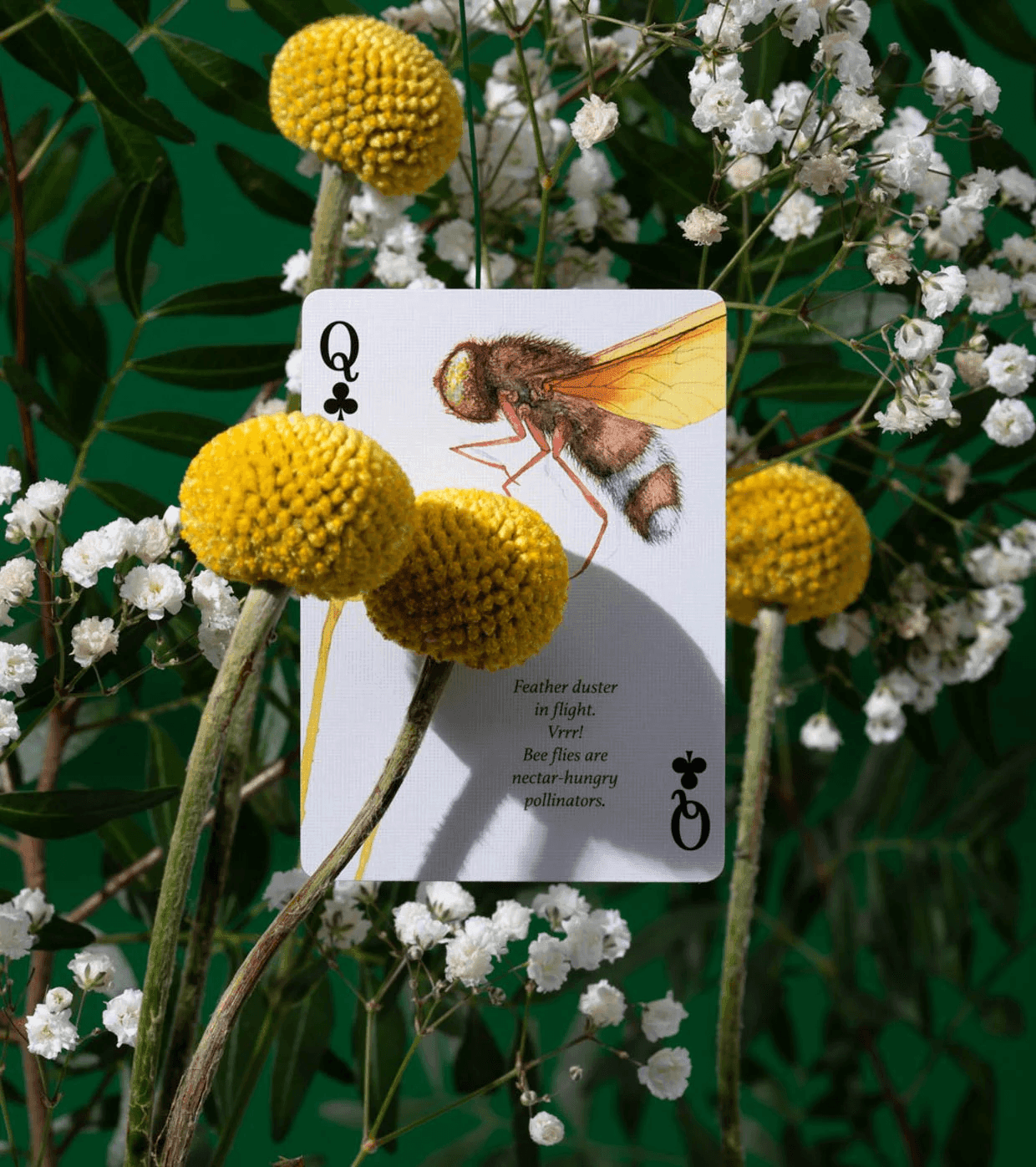 Eastern Forest Playing Cards Playing Cards by Art of Play