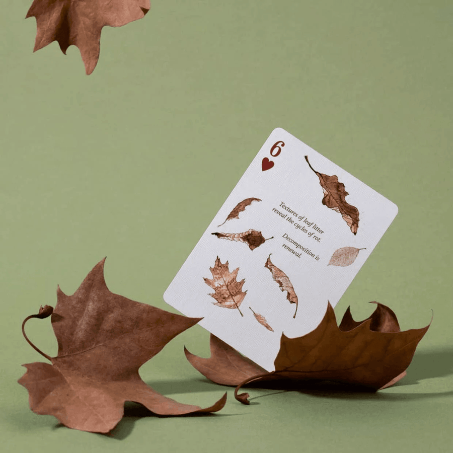 Eastern Forest Playing Cards Playing Cards by Art of Play
