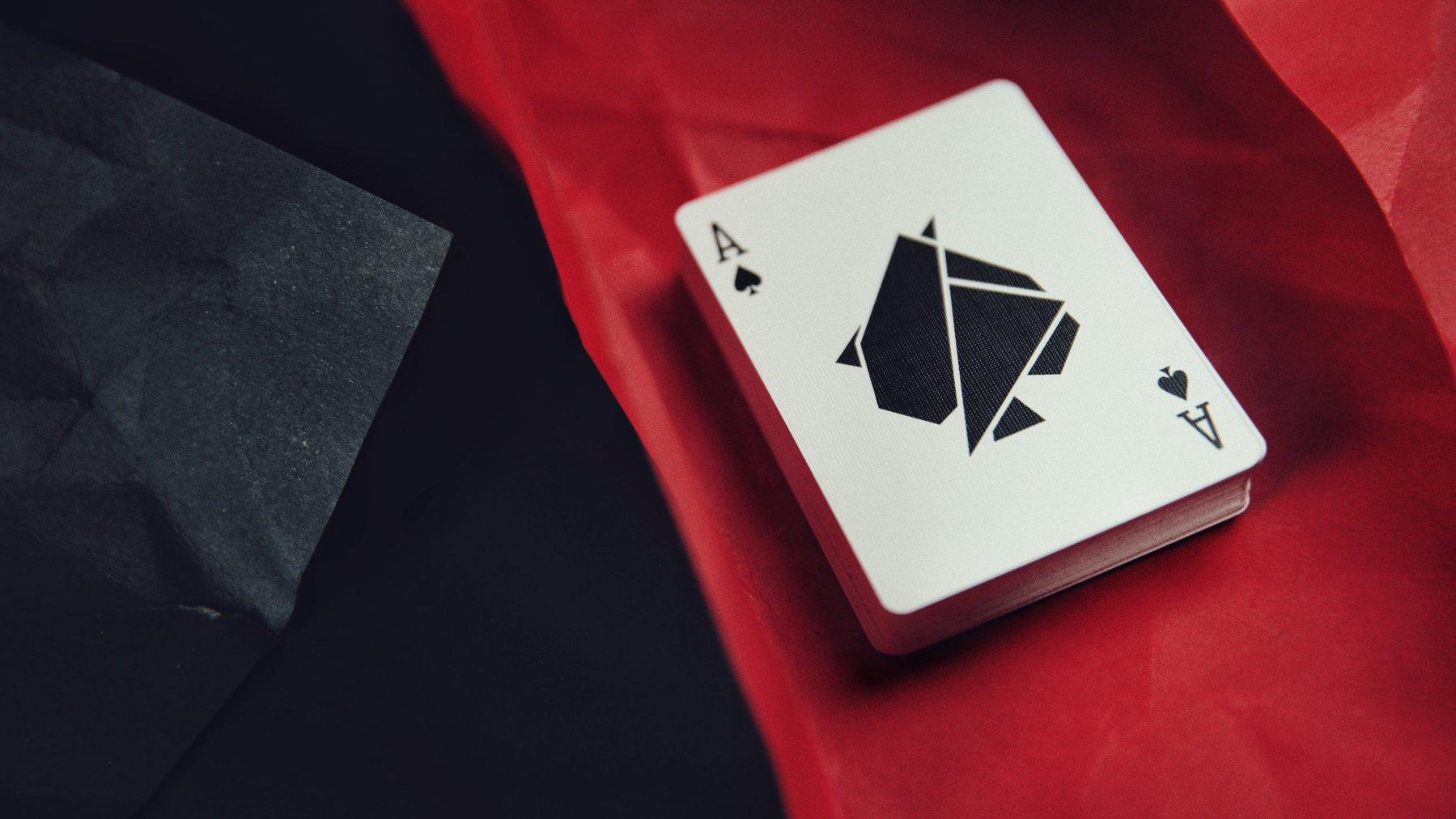 FLEXIBLE (Black) Playing Cards by TCC Playing Card Co.