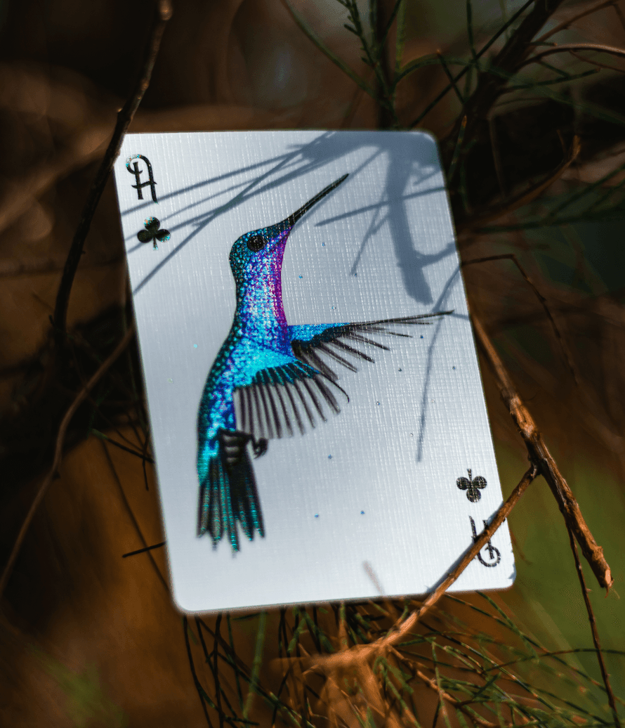Red Marvelous Hummingbird Feathers Playing Cards Playing Cards by Marvelous Decks Playing Cards