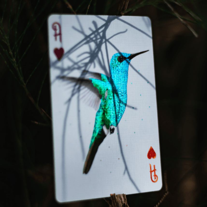 Red Marvelous Hummingbird Feathers Playing Cards Playing Cards by Marvelous Decks Playing Cards