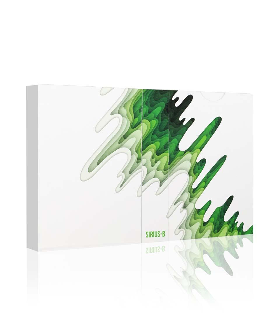 Sirius B V4 Playing Cards Spring Edition Playing Cards by Riffle Shuffle Playing Card Company