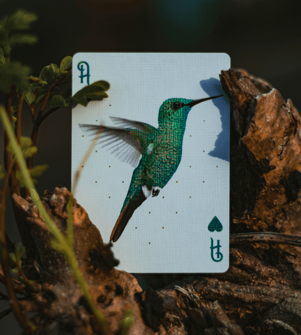Marvelous Hummingbird Feathers Playing Cards Blue Playing Cards by Marvelous Decks Playing Cards