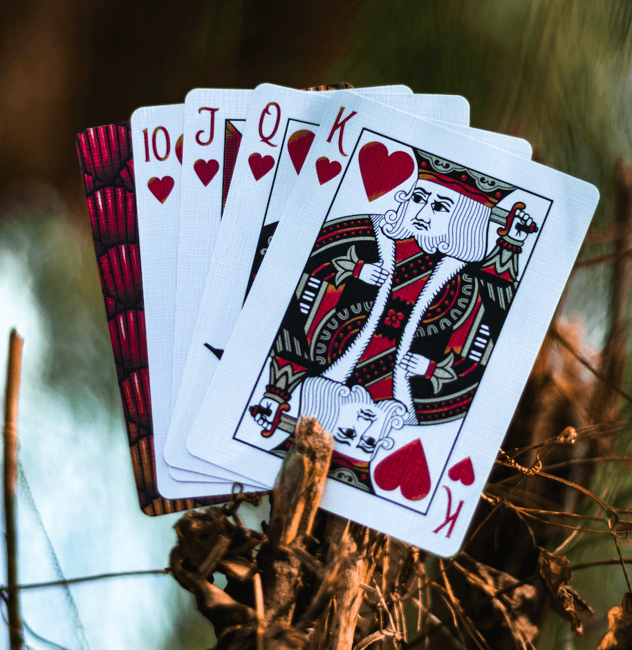 Red Marvelous Hummingbird Feathers Playing Cards Playing Cards by Marvelous Decks Playing Cards