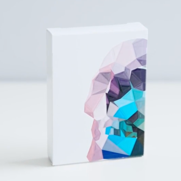 Memento Mori Playing Cards Playing Cards by Murphy's Magic