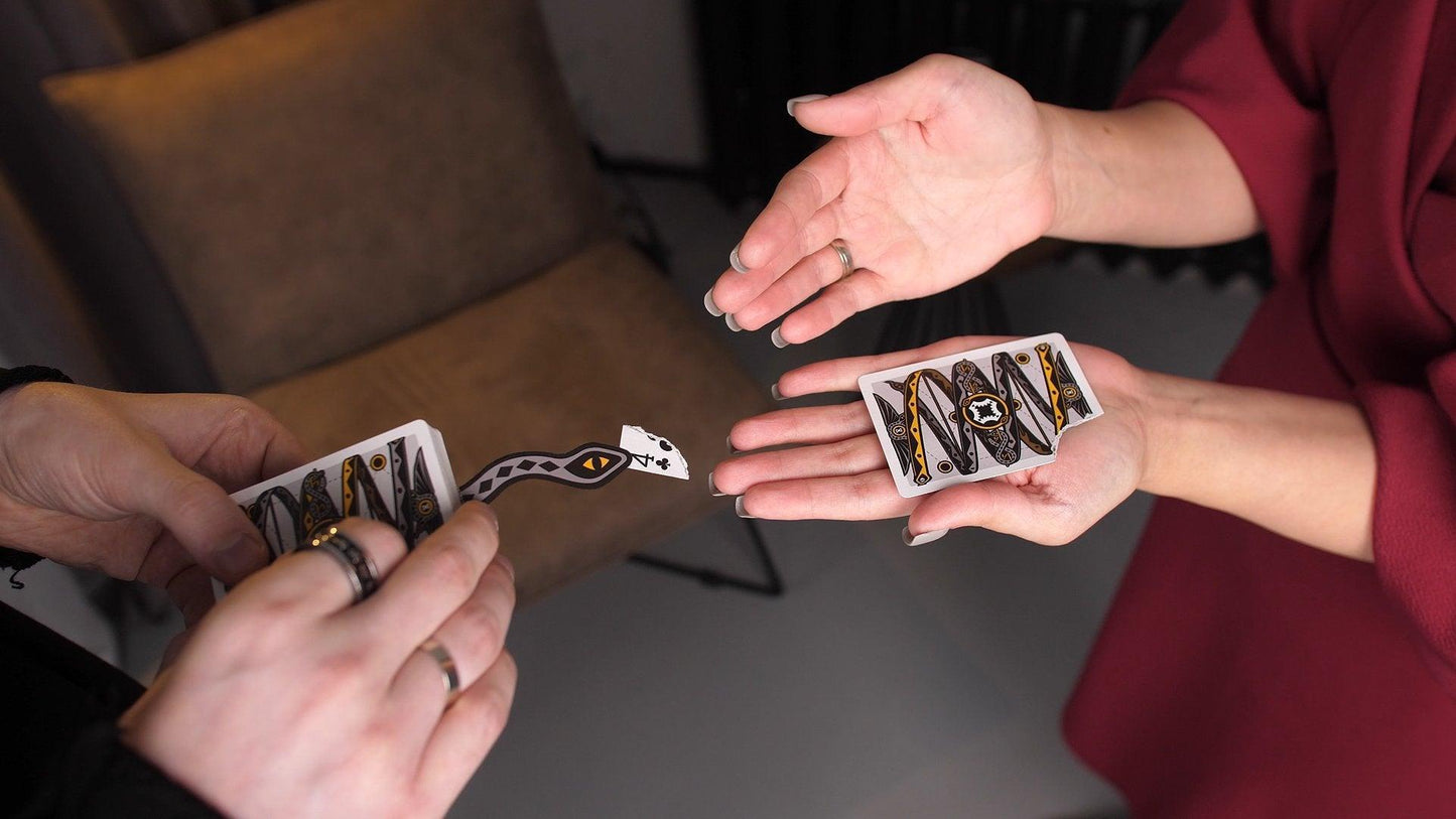 Snakes and Ladders Playing Cards Playing Cards by Mechanic Industries