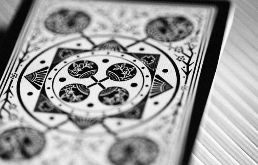 Tally-Ho Viper Fan Back Playing Cards Playing Cards by Ellusionist