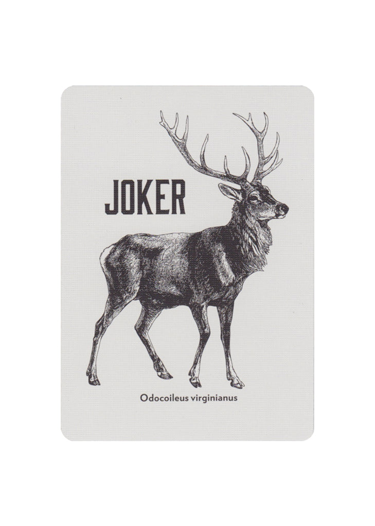 Vintage Plaid: California Blue Playing Cards by Dan & Dave