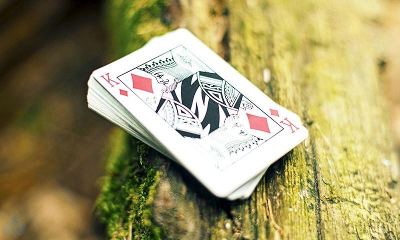Z Deck Playing Cards by Art of Play