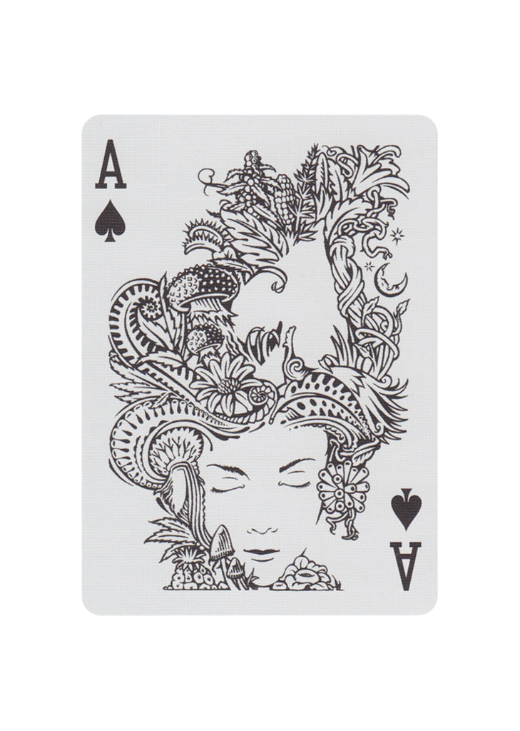 ZOMA Playing Cards* Playing Cards by Art of Play