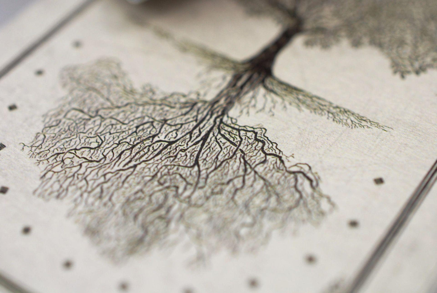 Arcana Playing Cards by Dead On Paper