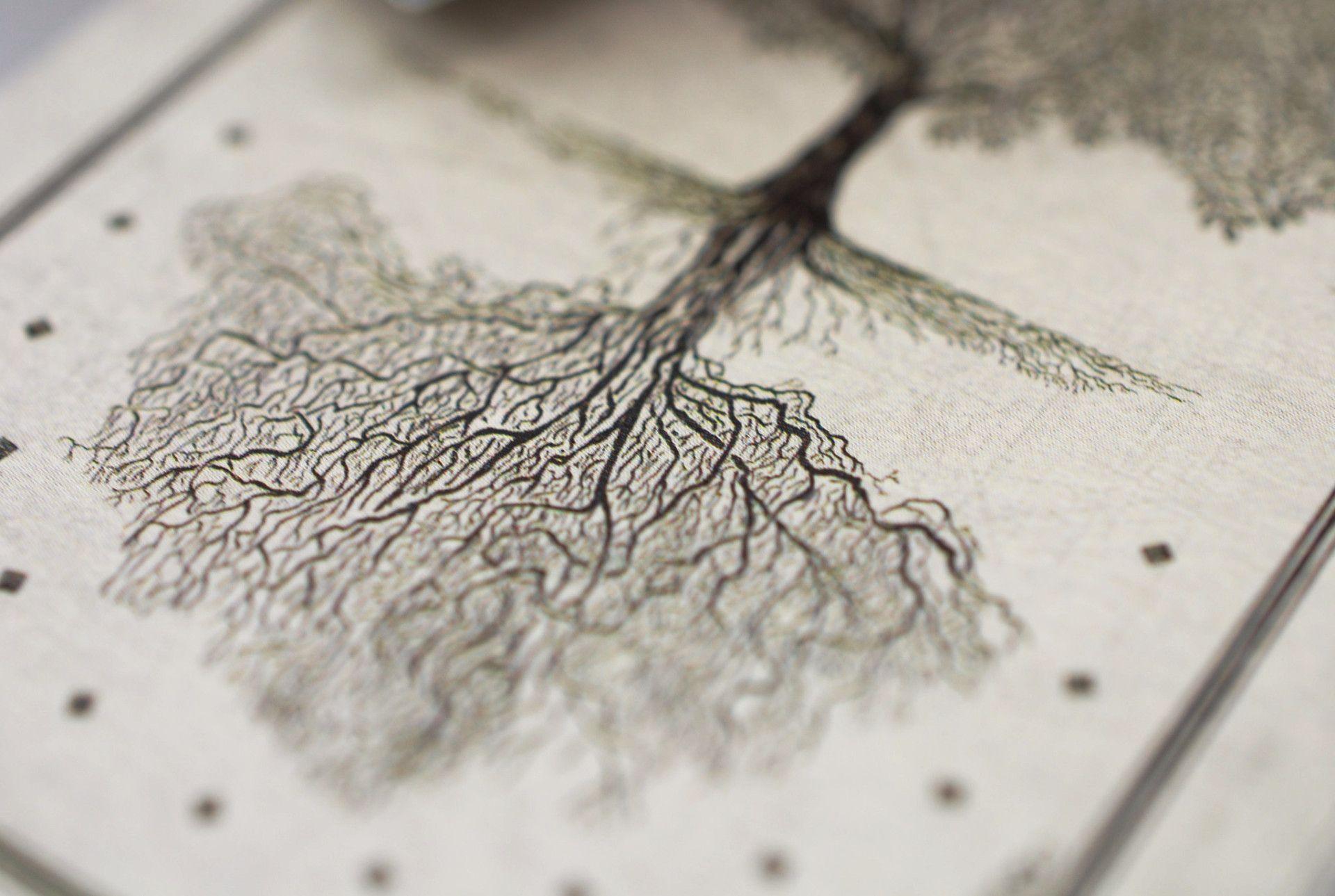 Arcana Playing Cards by Dead On Paper
