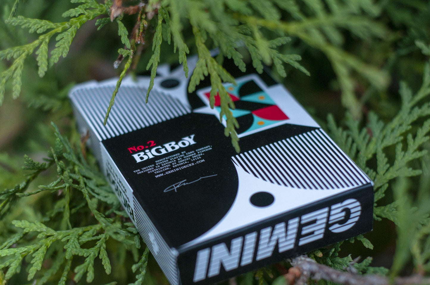 Big Boy No.2 Playing Cards by Gemini