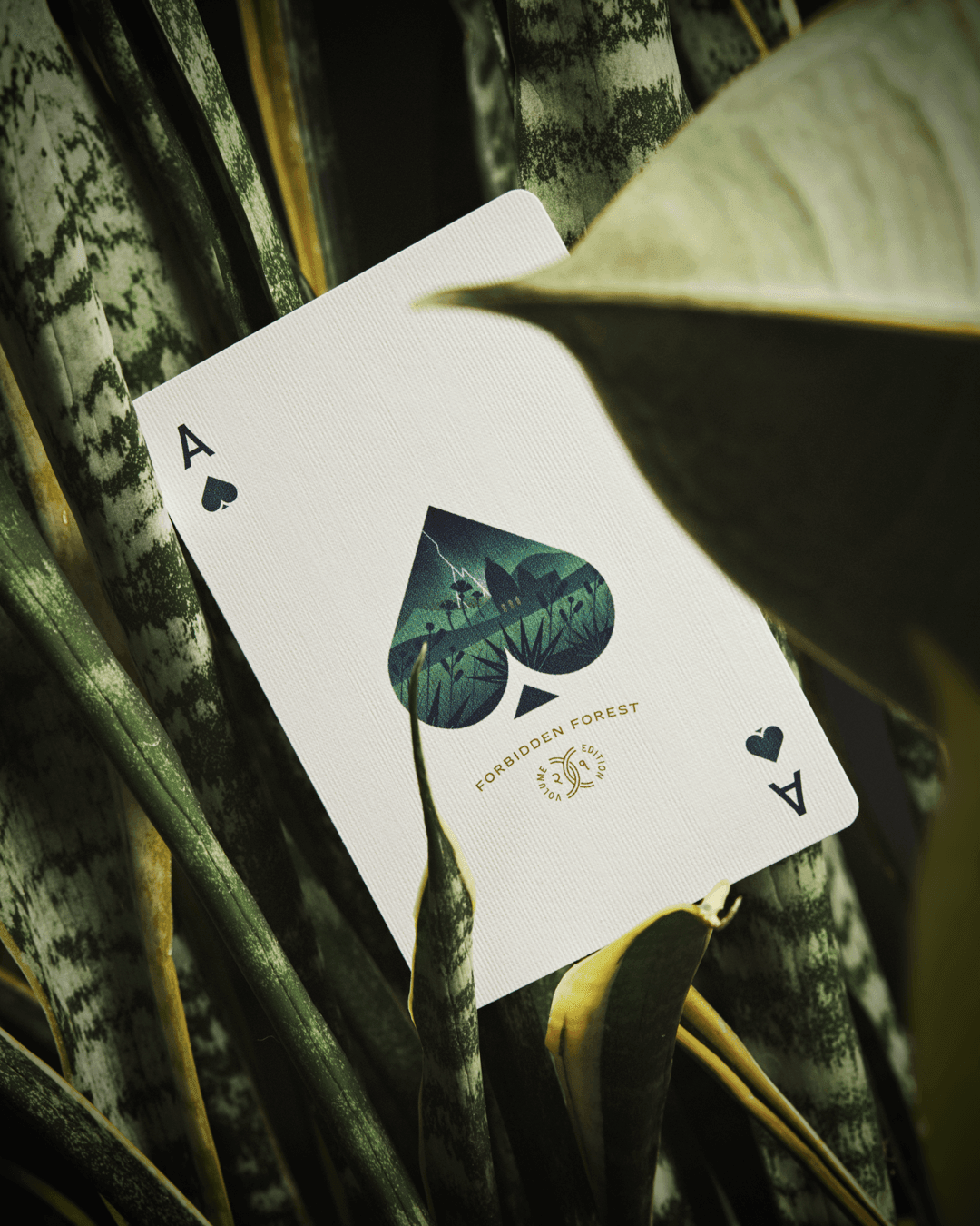 Forbidden Forest Playing Cards Playing Cards by Art of Play