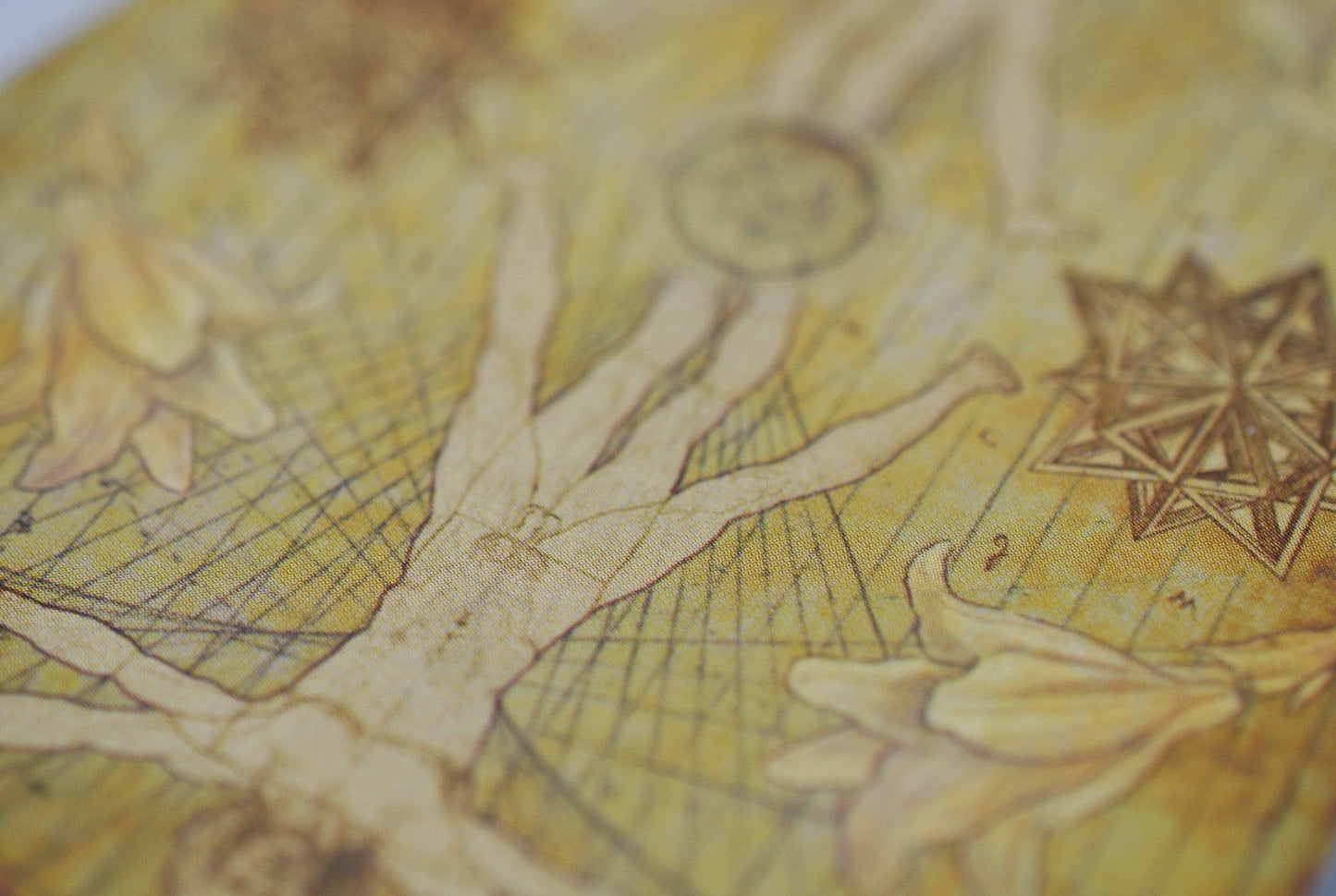 Leonardo Playing Cards by Legends Playing Card Co.